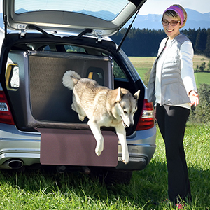 Universal Sicherheitsgurtverlängerung Verstellbereich: 59cm - 97cm Länge -  TAMI Hundetransportbox mit Airbag-Funktion, 44,95 €